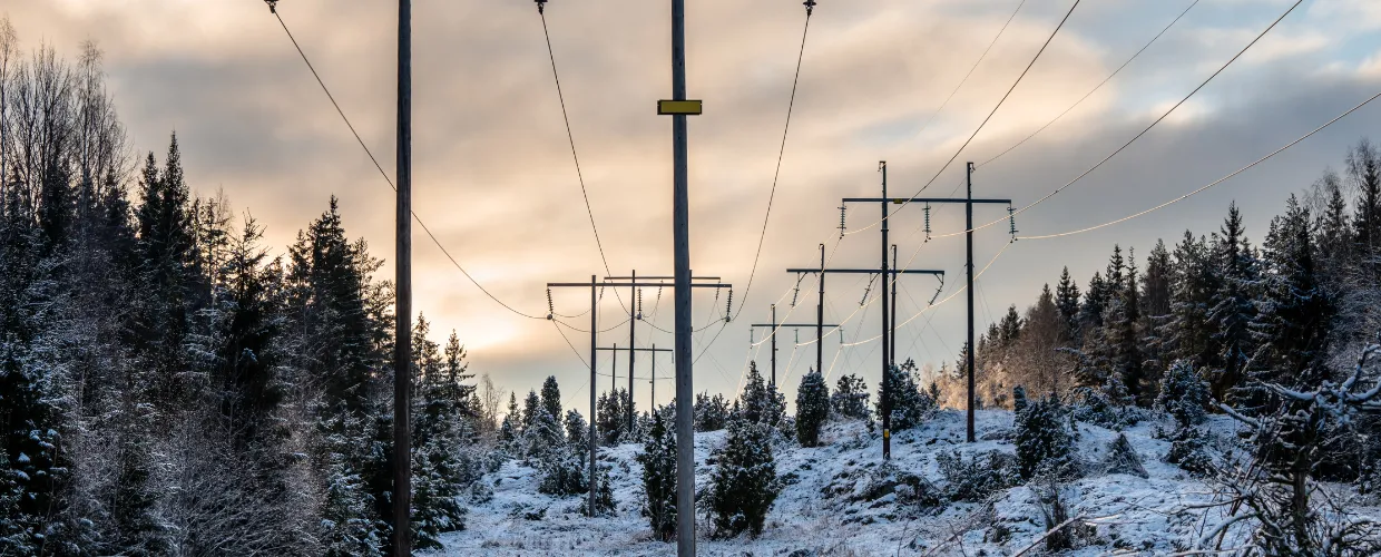 Reducing financial strain from rising energy costs this winter